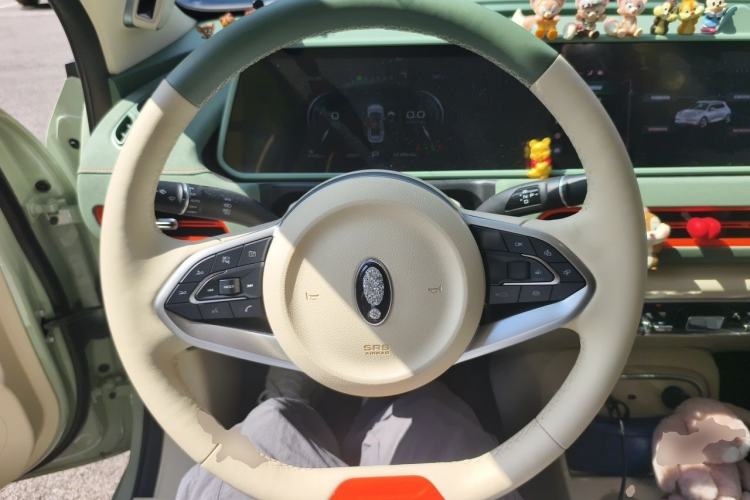 Used ORA Good Cat 2024 401 km Range Luxury Version 135 kW Steering Wheel