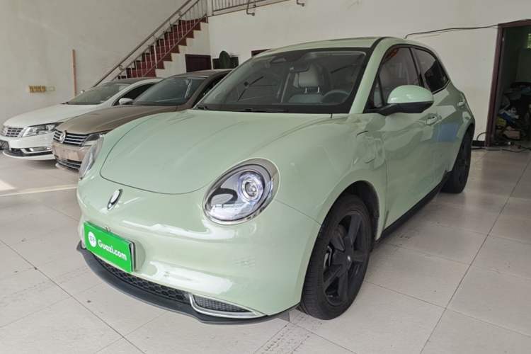 ORA Good Cat 2024 401 km Luxury Version