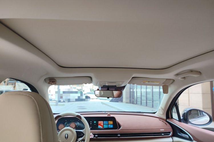 Used ORA Good Cat 2024 401 km Comfort Edition Headliner