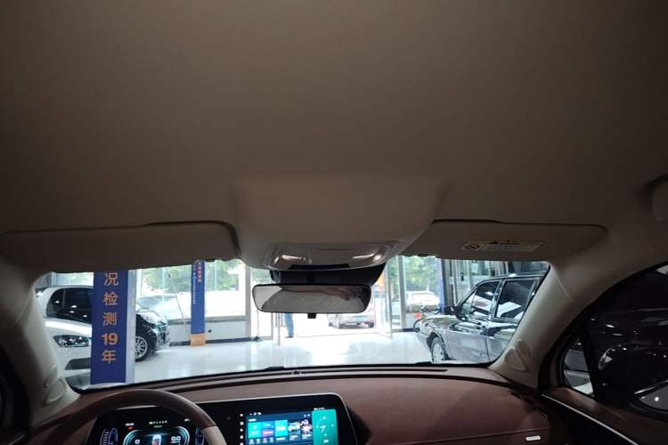 Used ORA Good Cat 2024 401 km Comfort Edition Headliner