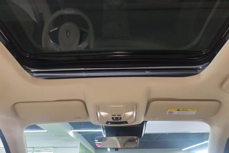 Used ORA Good Cat 2024 401 km Luxury Version Headliner