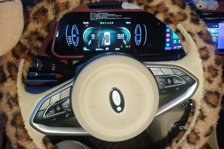 Used ORA Good Cat 2024 401 km Luxury Version Instrument Cluster