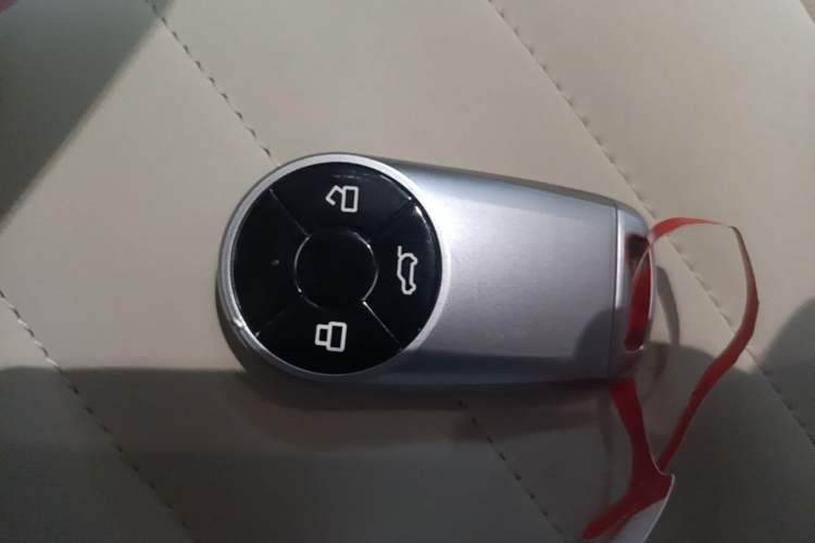 Used ORA Good Cat 2024 401 km Luxury Version Interior 1