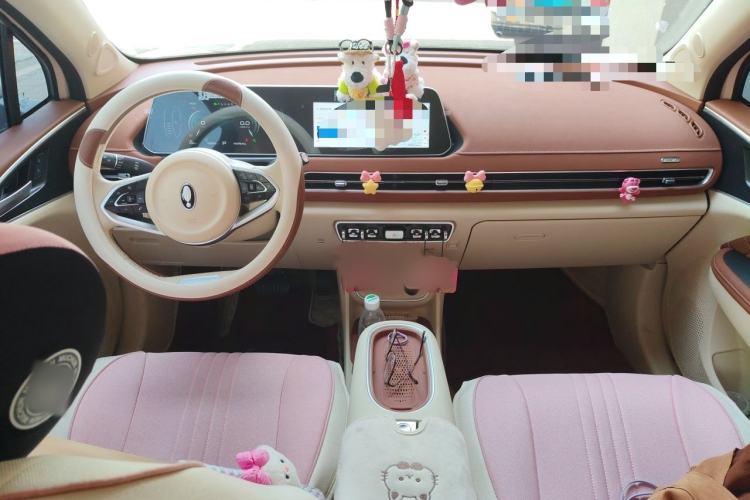 Used ORA Good Cat 2024 401 km Luxury Version Interior 2