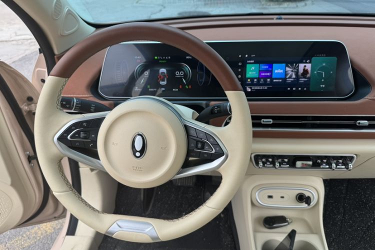 Used ORA Good Cat 2024 501 km Luxury Version Interior 5