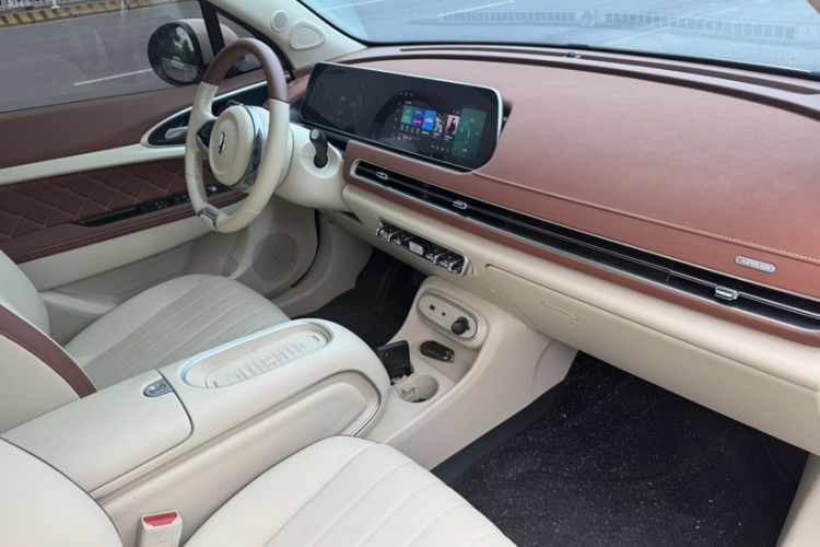 Used ORA Good Cat 2024 501 km Luxury Version Interior 6