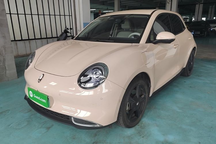 Used ORA Good Cat 2024 401 km Range Luxury Version 135 kW Guazi used car, China used car export, Used car for sale, Used  cars, Cheapest cars for sale