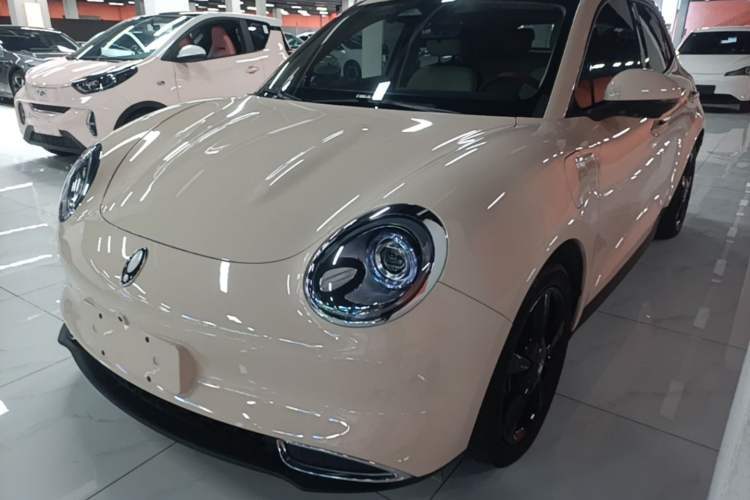 Used ORA Good Cat 2024 401 km Luxury Version Guazi used car, China used car export, Used car for sale, Used  cars, Cheapest cars for sale