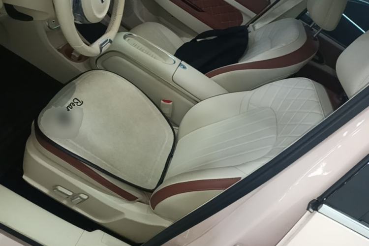 Used ORA Good Cat 2024 401 km Luxury Version Left Front Seat