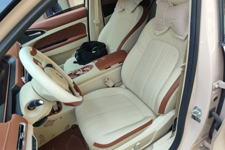 Used ORA Good Cat 2024 401 km Comfort Edition Left Front Seat