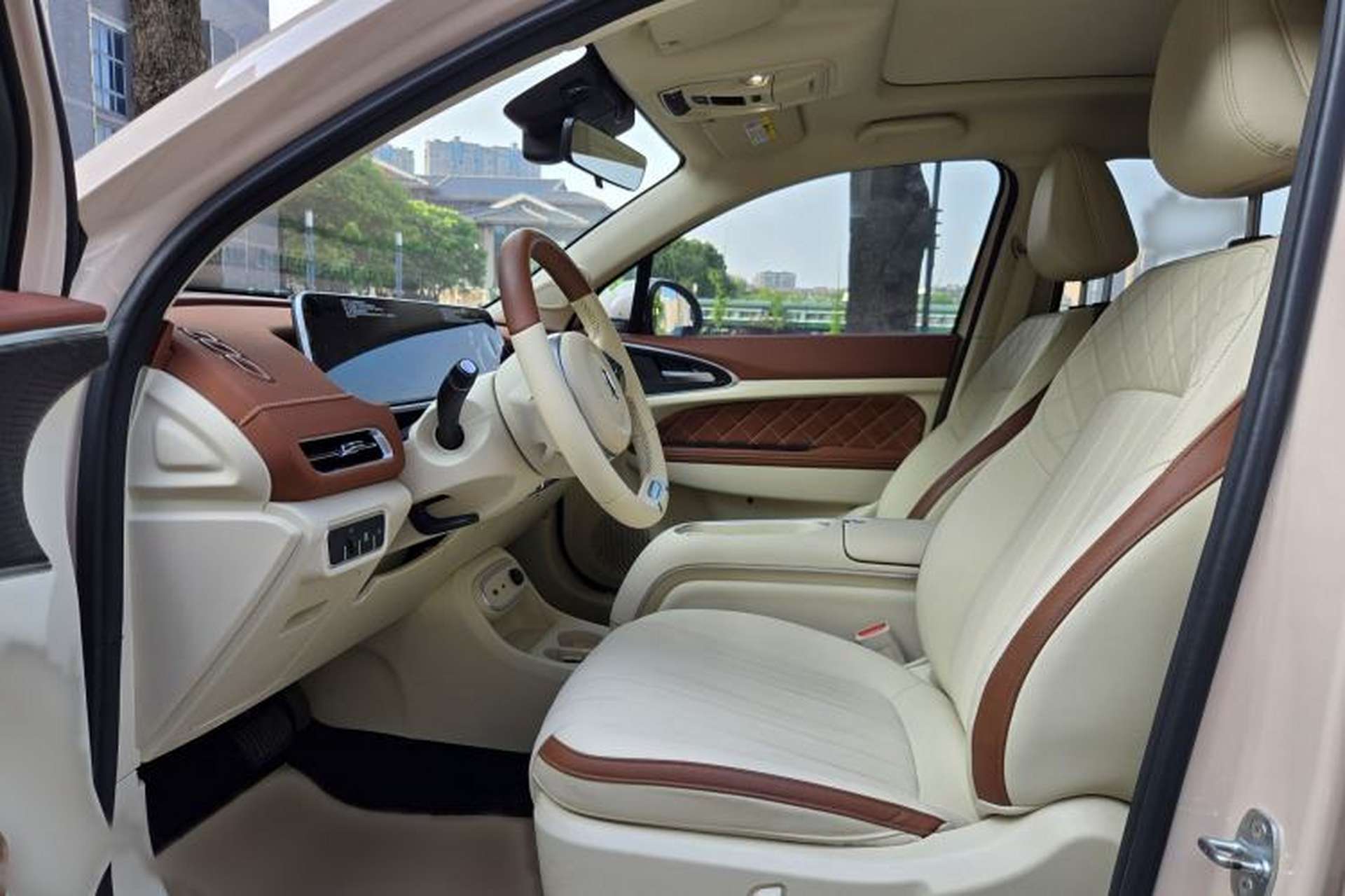 Used ORA Good Cat 2024 401 km Luxury Version Left Front Seat