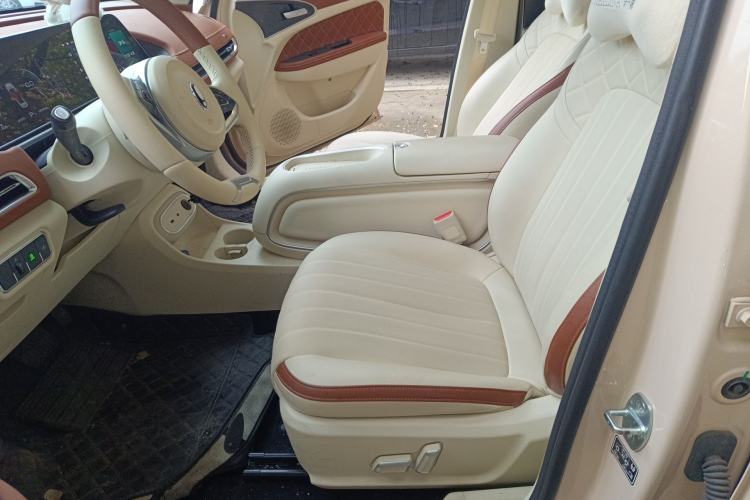Used ORA Good Cat 2024 401 km Luxury Version Left Front Seat