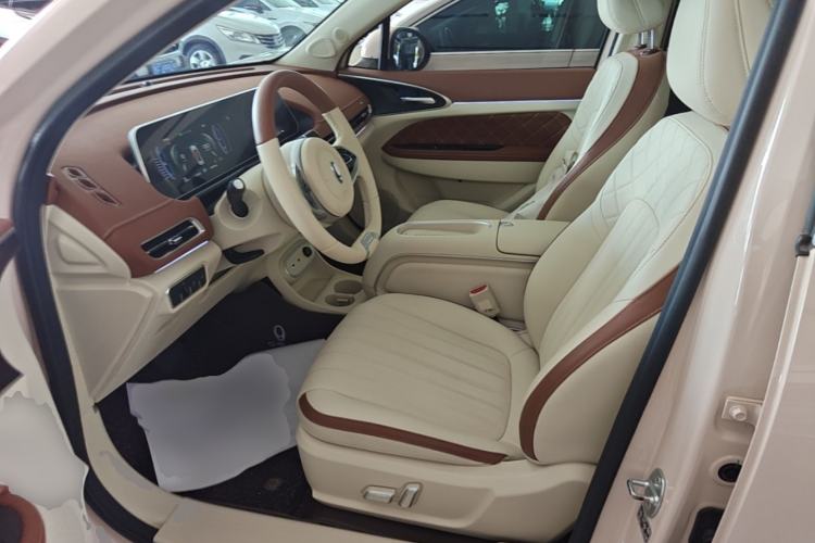 Used ORA Good Cat 2024 401 km Luxury Version Left Front Seat