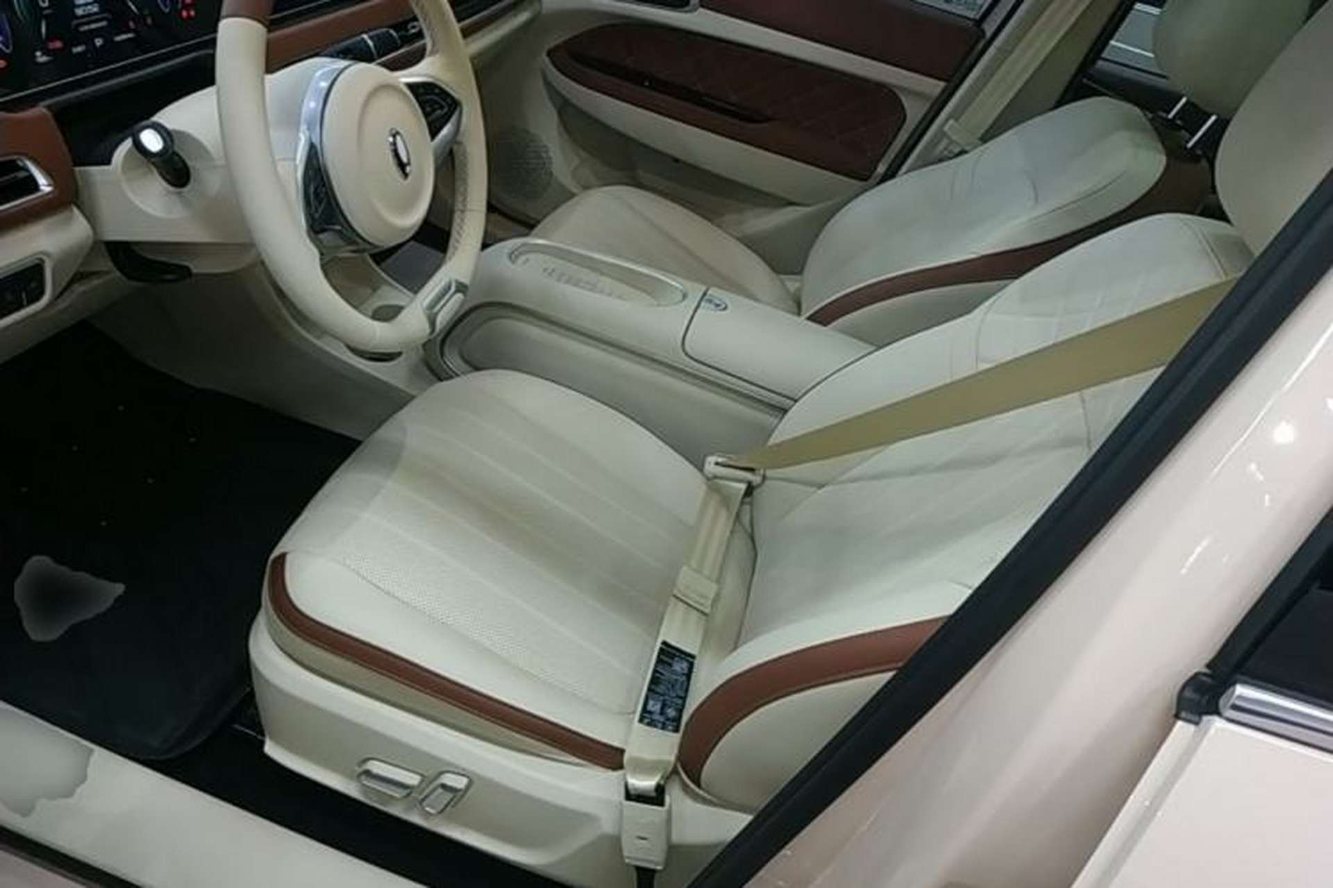 Used ORA Good Cat 2024 401 km Luxury Version 126 kW Left Front Seat