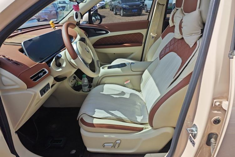 Used ORA Good Cat 2024 401 km Luxury Version Left Front Seat