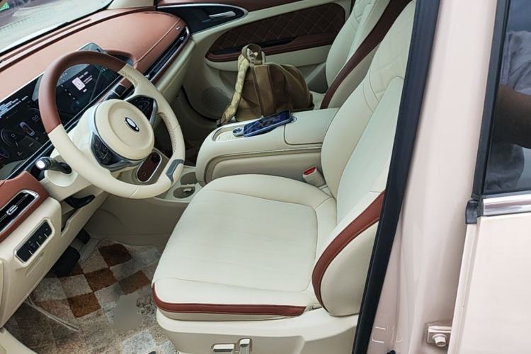 Used ORA Good Cat 2024 401 km Luxury Version Left Front Seat