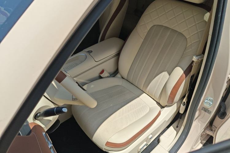 Used ORA Good Cat 2024 501 km Luxury Version Left Front Seat