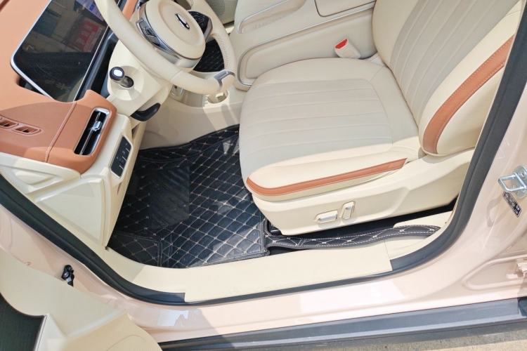 Used ORA Good Cat 2024 401 km Luxury Version Left Front Seat