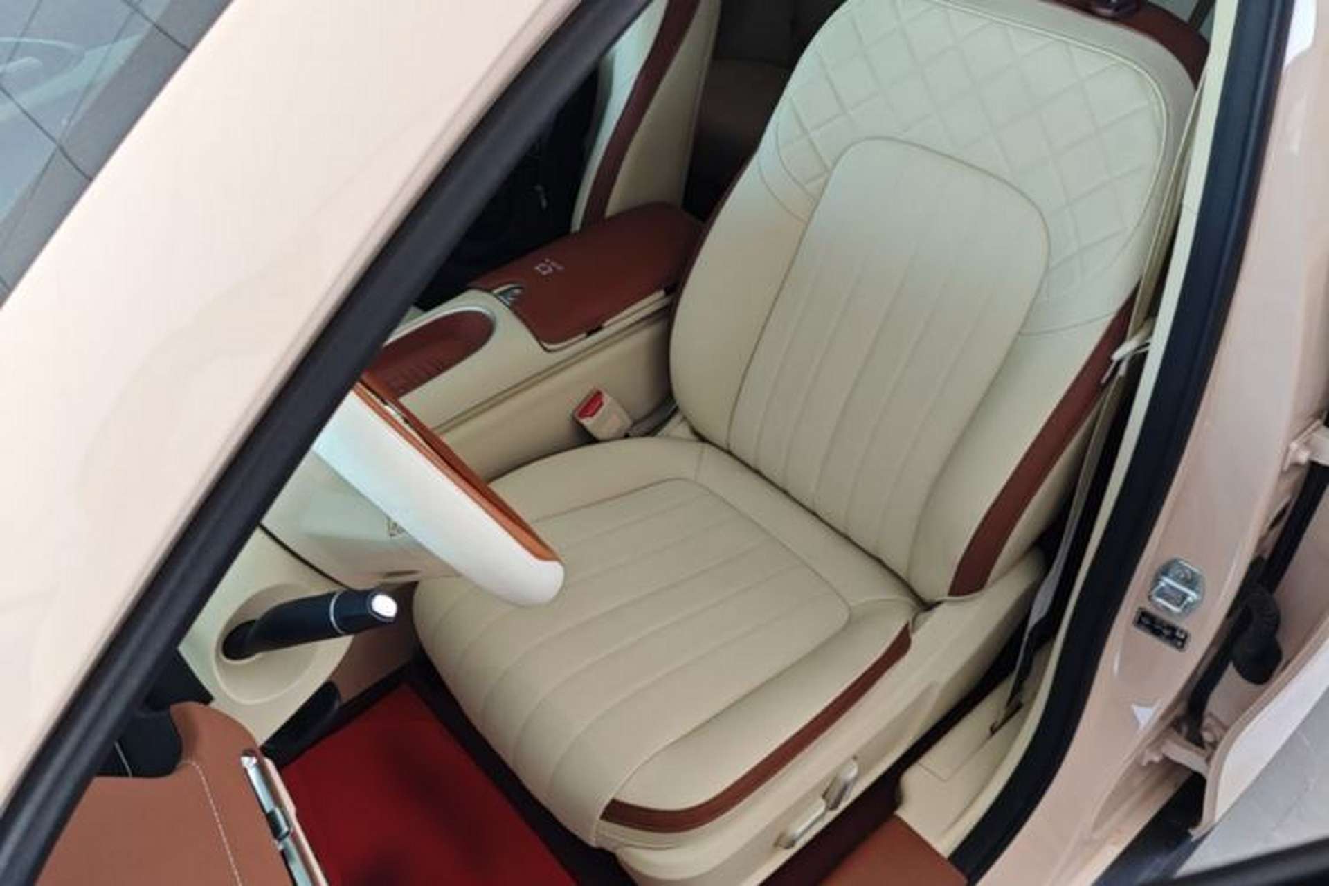 Used ORA Good Cat 2024 401 km Luxury Version Left Front Seat