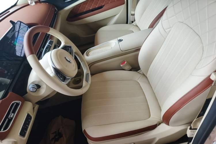 Used ORA Good Cat 2024 401 km Range Luxury Version 135 kW Left Front Seat
