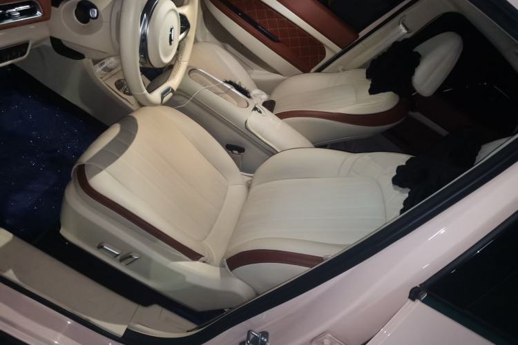 Used ORA Good Cat 2024 401 km Luxury Version Left Front Seat