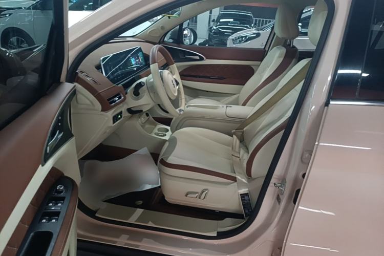 Used ORA Good Cat 2024 401 km Luxury Version Left Front Seat
