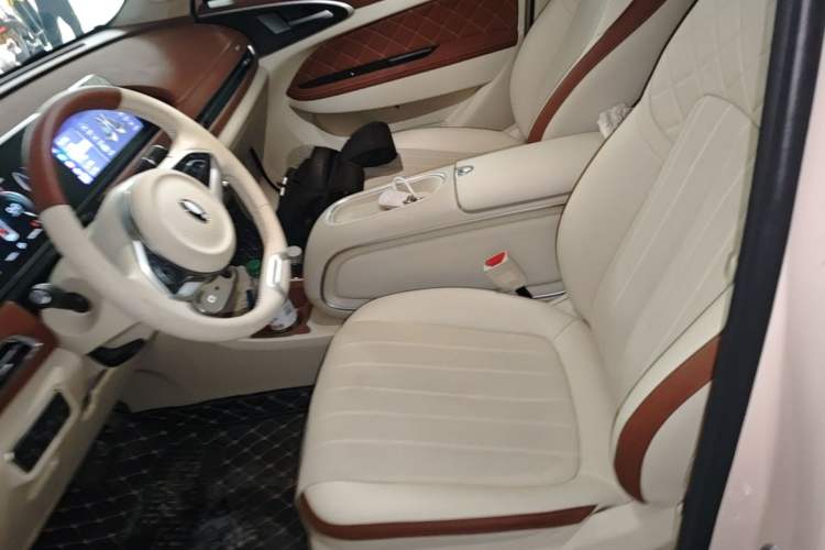 Used ORA Good Cat 2024 401 km Luxury Version 126 kW Left Front Seat