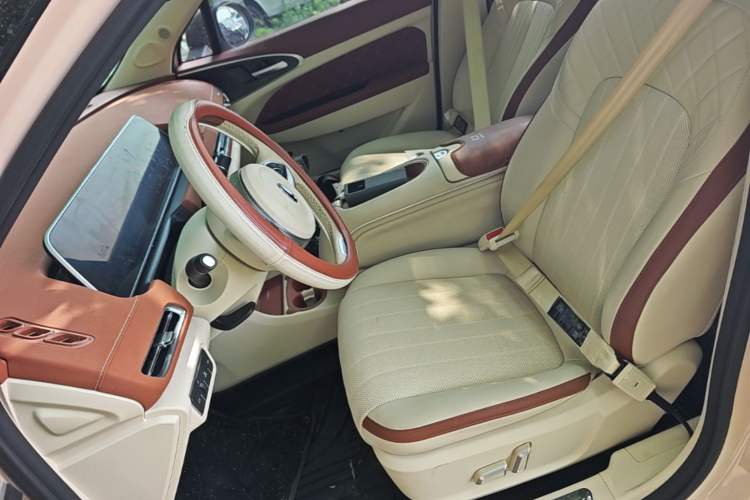 Used ORA Good Cat 2024 401 km Range Luxury Version 135 kW Left Front Seat