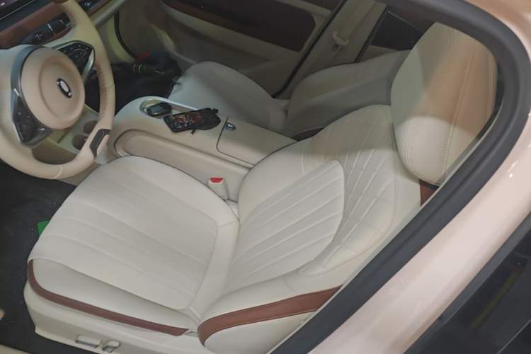 Used ORA Good Cat 2024 501 km Luxury Version Left Front Seat