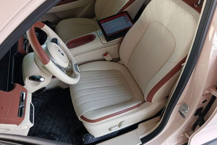 Used ORA Good Cat 2024 401 km Luxury Version Left Front Seat