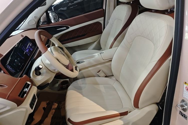 Used ORA Good Cat 2024 501 km Luxury Version Left Front Seat