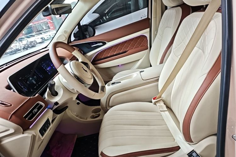 Used ORA Good Cat 2024 401 km Luxury Version Left Front Seat