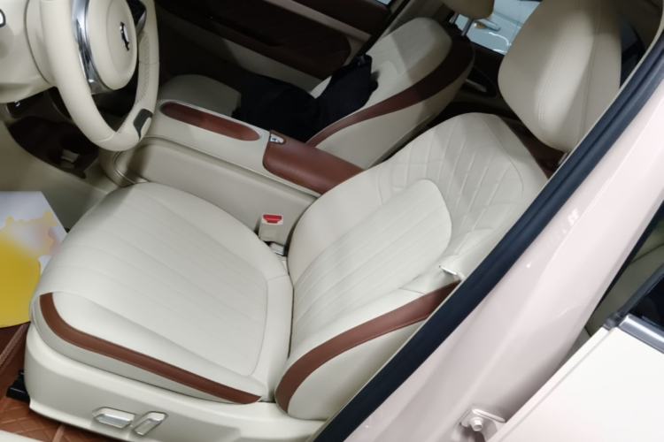 Used ORA Good Cat 2024 401 km Luxury Version Left Front Seat