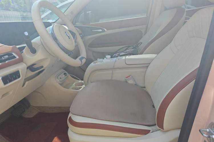 Used ORA Good Cat 2024 401 km Comfort Edition Left Front Seat