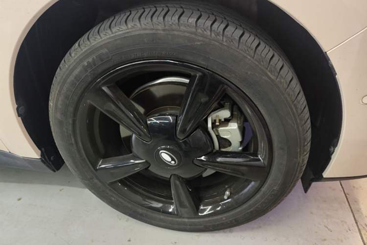 Used ORA Good Cat 2024 401 km Range Luxury Version 135 kW Left Front Wheel Hub
