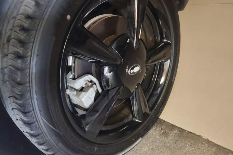 Used ORA Good Cat 2024 401 km Luxury Version 126 kW Left Front Wheel Hub
