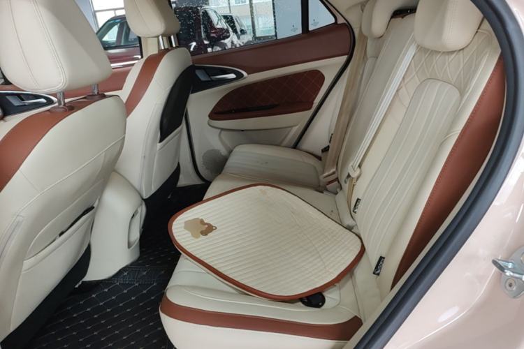 Used ORA Good Cat 2024 401 km Range Luxury Version 135 kW Left Rear Seat