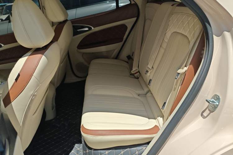 Used ORA Good Cat 2024 501 km Luxury Version Left Rear Seat
