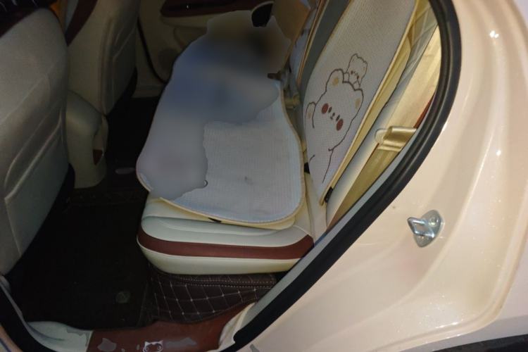 Used ORA Good Cat 2024 401 km Luxury Version Left Rear Seat
