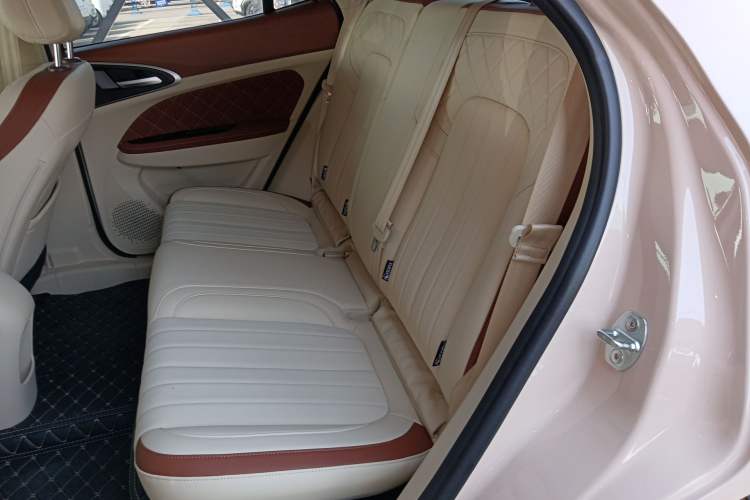 Used ORA Good Cat 2024 401 km Luxury Version Left Rear Seat