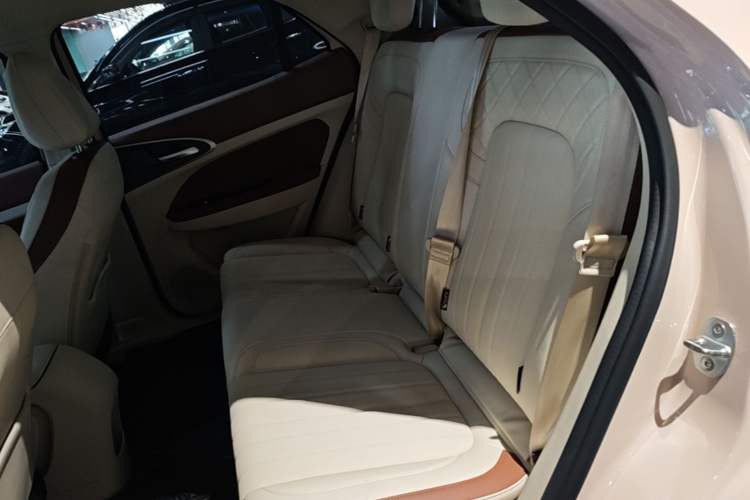 Used ORA Good Cat 2024 501 km Luxury Version Left Rear Seat