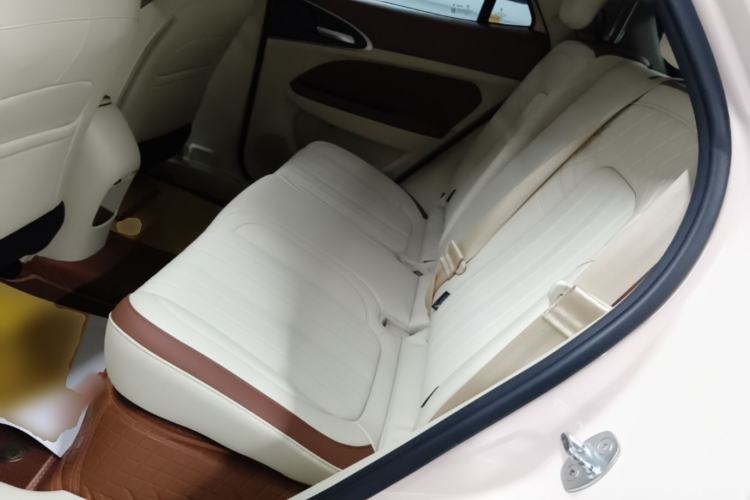 Used ORA Good Cat 2024 401 km Luxury Version Left Rear Seat
