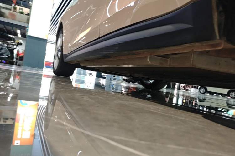 Used ORA Good Cat 2024 501 km Luxury Version Left Side Sill