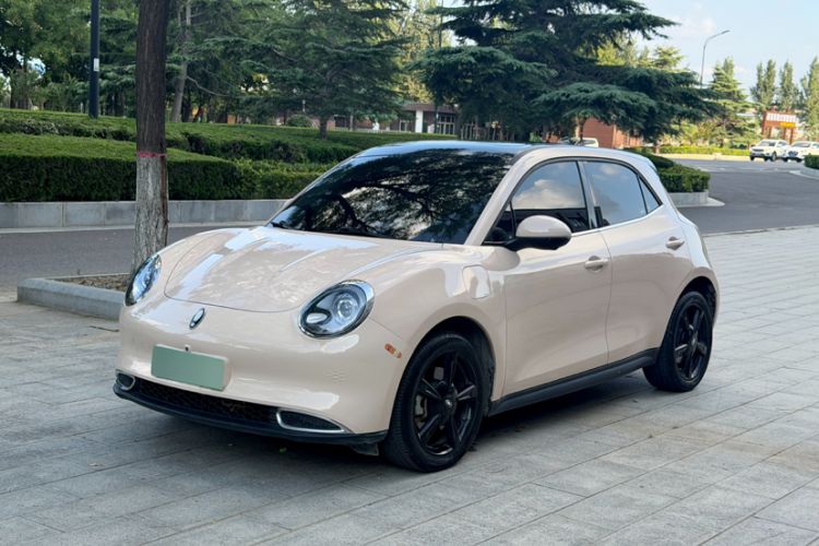 ORA Good Cat 2024 401 km Luxury Version