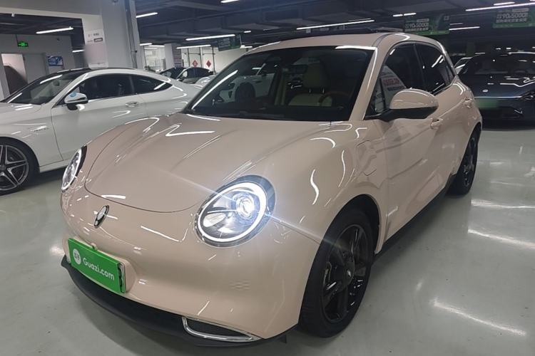 Used ORA Good Cat 2024 401 km Luxury Version Guazi used car, China used car export, Used car for sale, Used  cars, Cheapest cars for sale