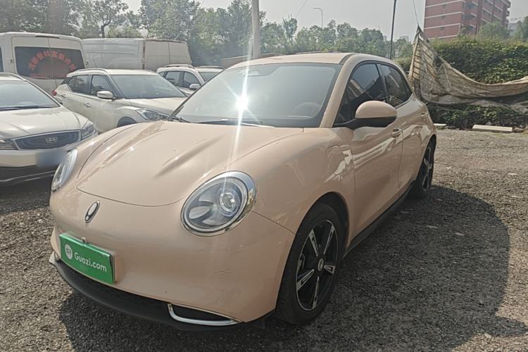 ORA Good Cat 2024 401 km Luxury Version