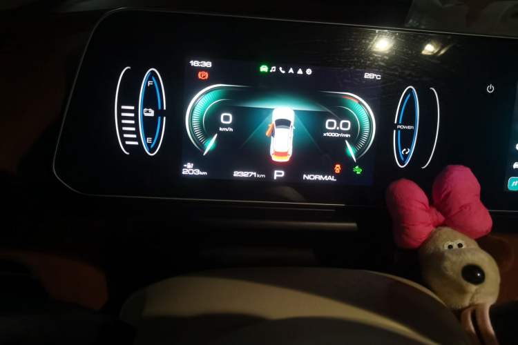 Used ORA Good Cat 2024 401 km Luxury Version Odometer Close Up