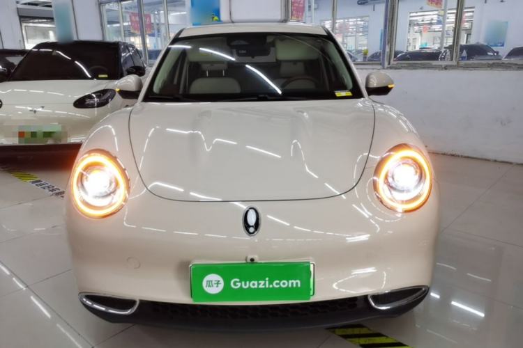 Used ORA Good Cat 2024 401 km Luxury Version Front