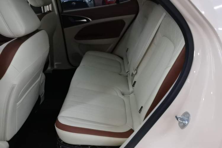 Used ORA Good Cat 2024 401 km Luxury Version Left Rear Seat
