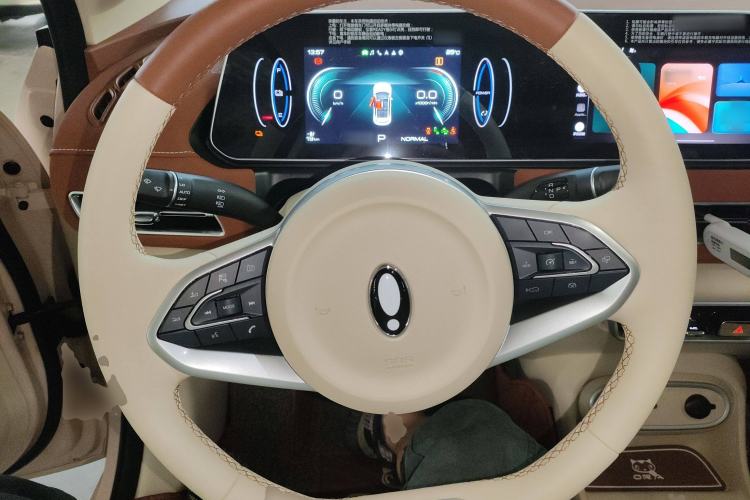 Used ORA Good Cat 2024 401 km Luxury Version 126 kW Steering Wheel